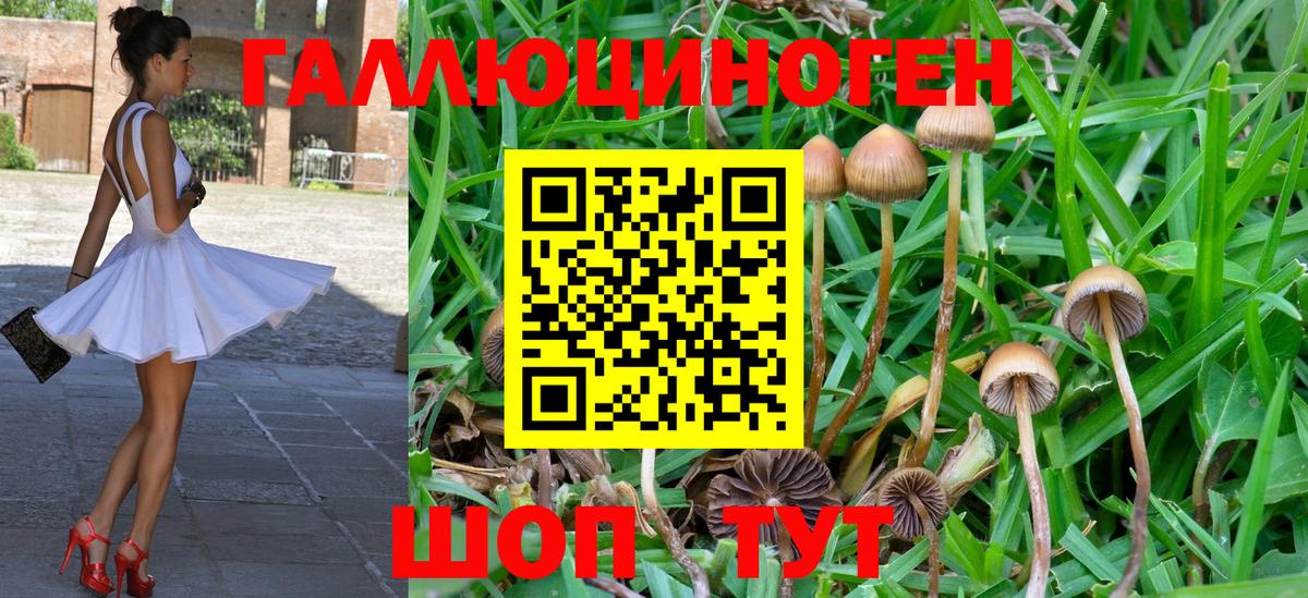 Псилоцибиновые грибы мухоморы Выкса