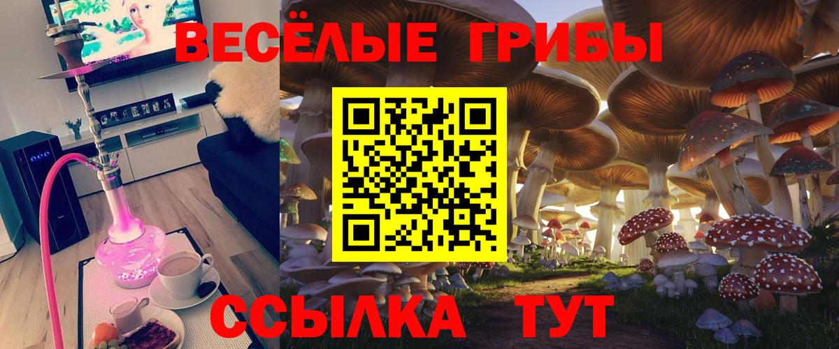 Галлюциногенные грибы GOLDEN TEACHER  Вход с VPN  Выкса 